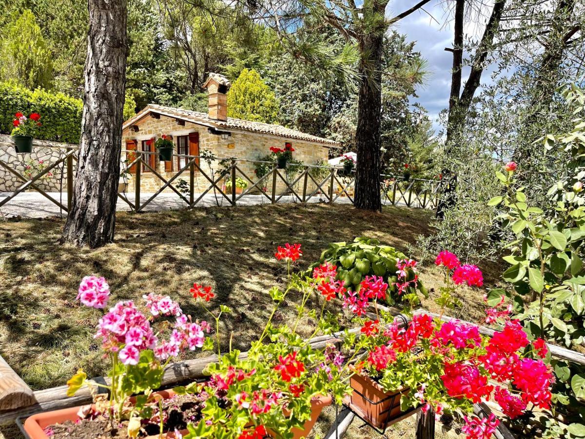 La Panoramica - Maison De Charme - Casette E Self Catering Per Vacanze Meravigliose! * Gubbio