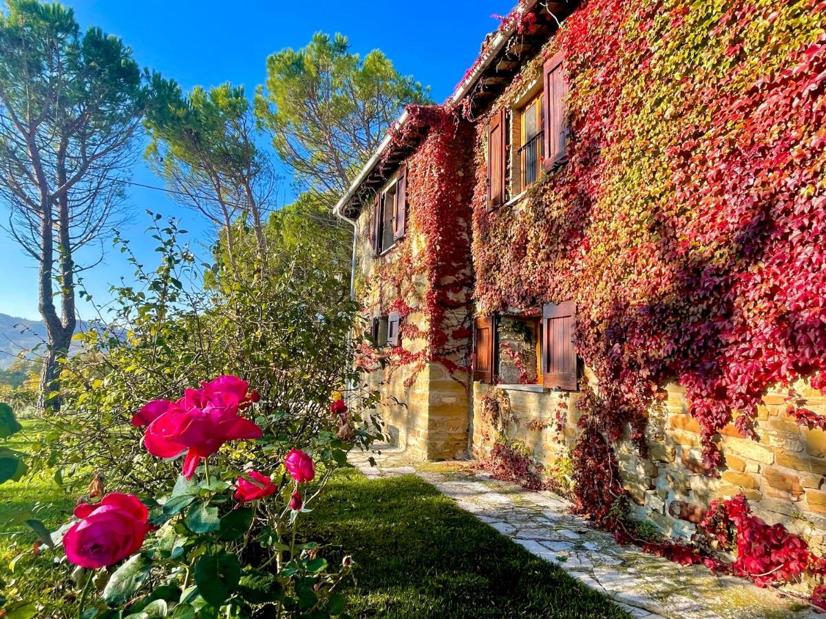 La Panoramica - Maison De Charme - Casette E Self Catering Per Vacanze Meravigliose! * Gubbio