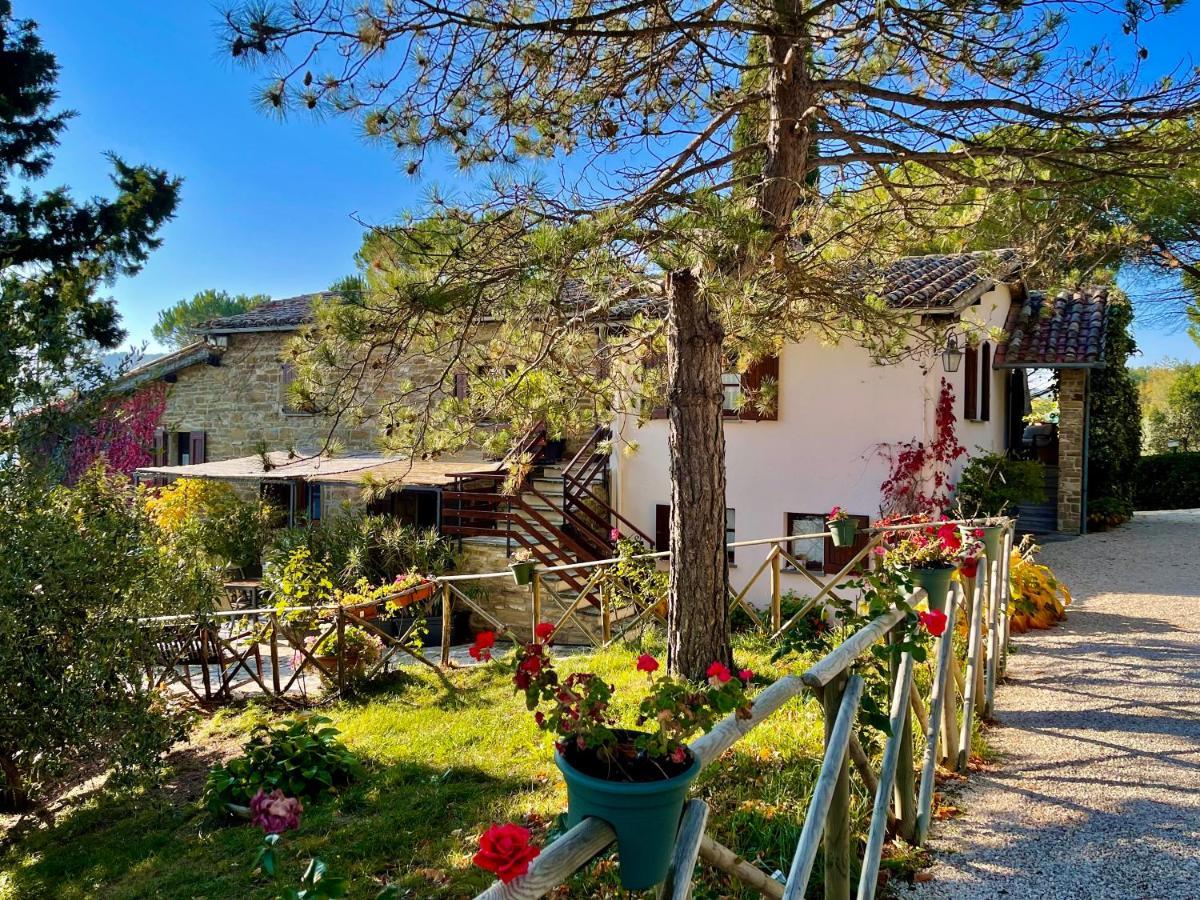 La Panoramica Gubbio: Charming Self-catering Retreat * Gubbio