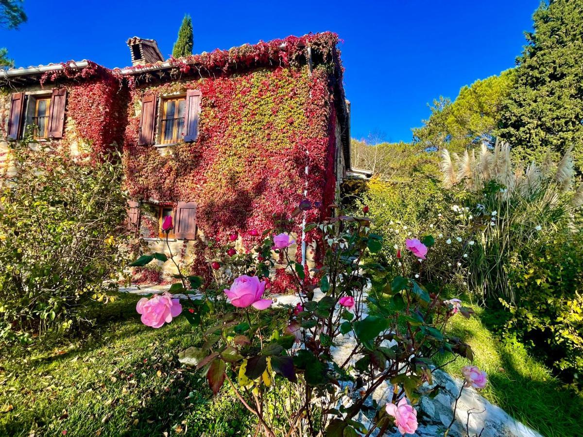 Alojamento de Turismo Rural La Panoramica - Maison De Charme - Casette E Self Catering Per Vacanze Meravigliose! *