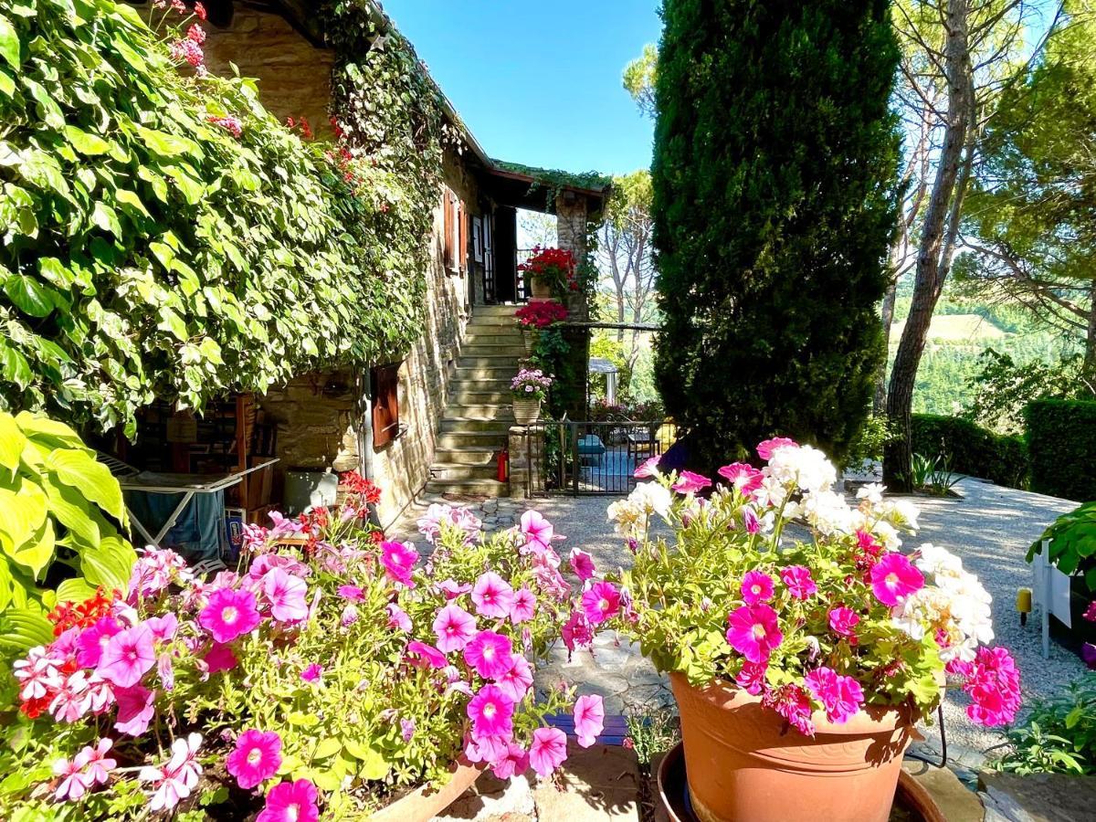 La Panoramica Gubbio: Charming Self-catering Retreat
